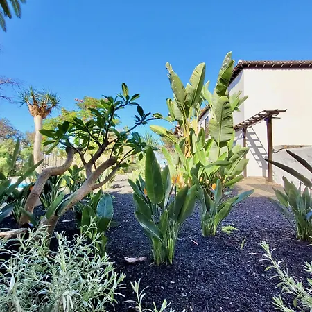 Hacienda La Vizcaina Appartamento La Orotava